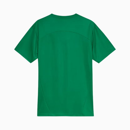 Camisa Treino Masculina Palmeiras 2025/2026