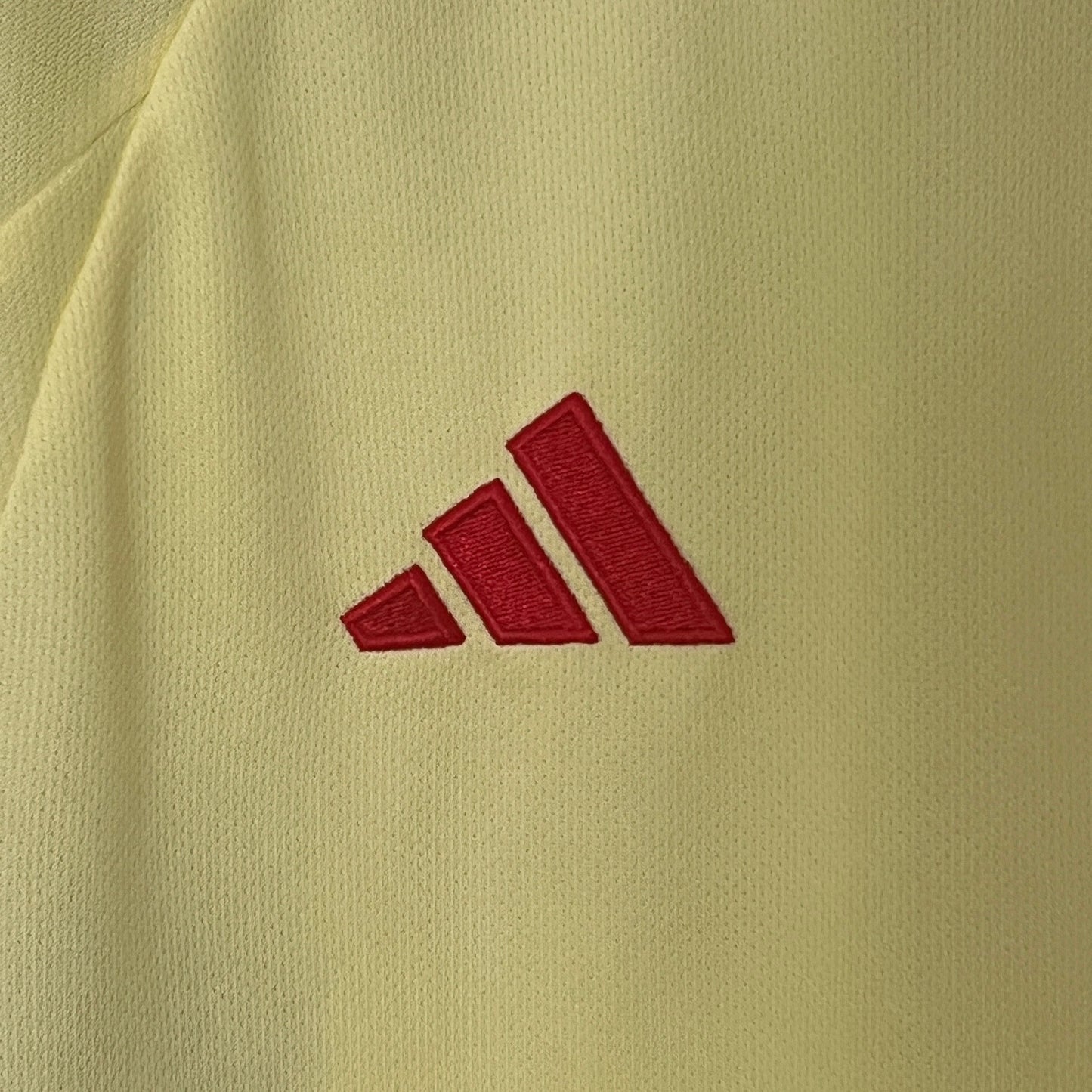 Camisa País de Gales Away 24/25 - Torcedor Masculina Lançamento