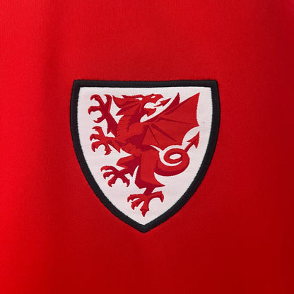Camisa País de Gales Home 24/25 - Torcedor Masculina Lançamento
