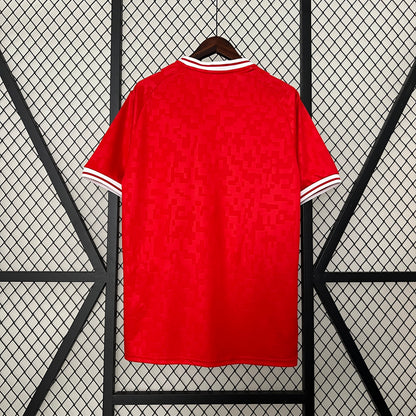 Camisa Dinamarca Home 24/25 - Torcedor Masculina Lançamento