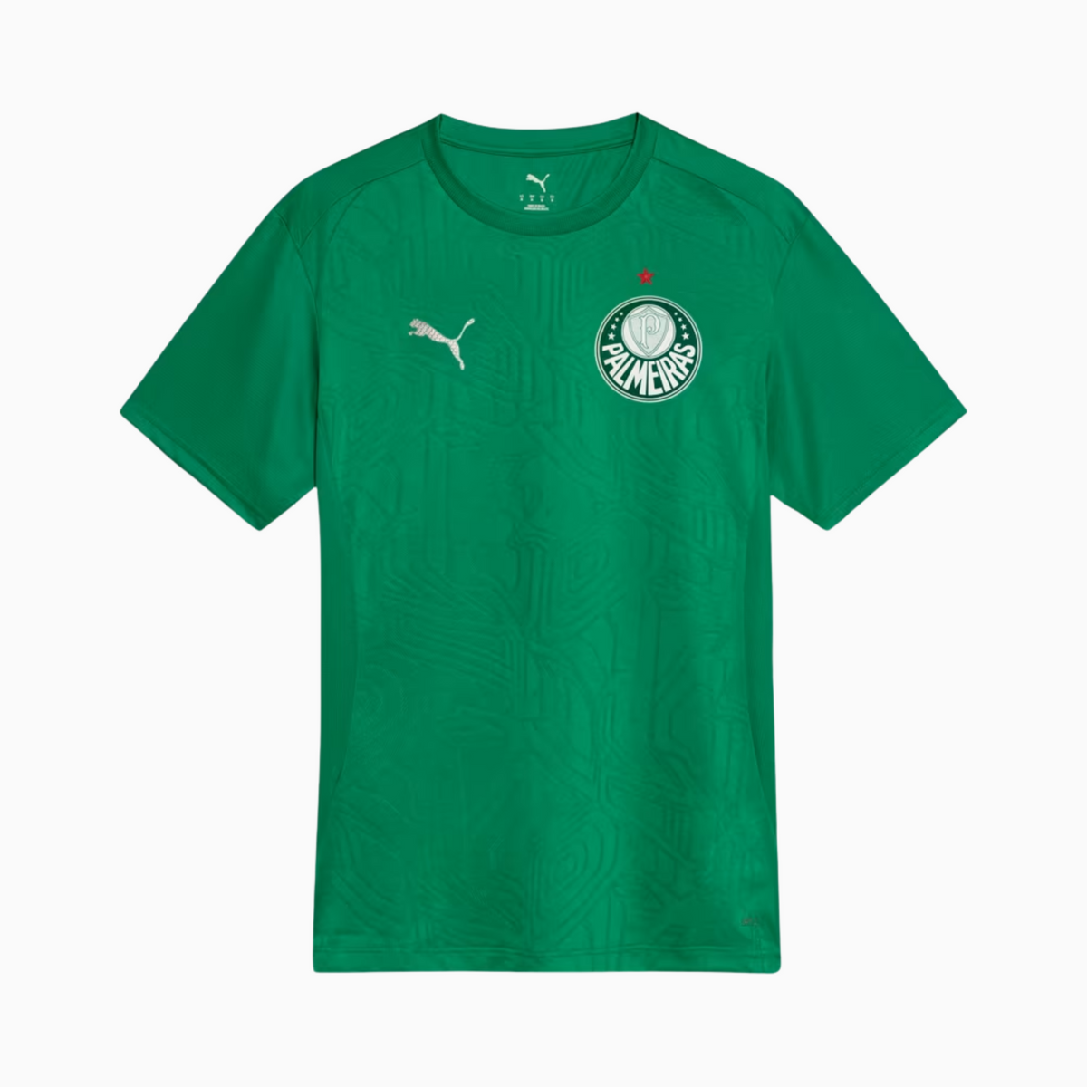 Camisa Treino Masculina Palmeiras 2025/2026