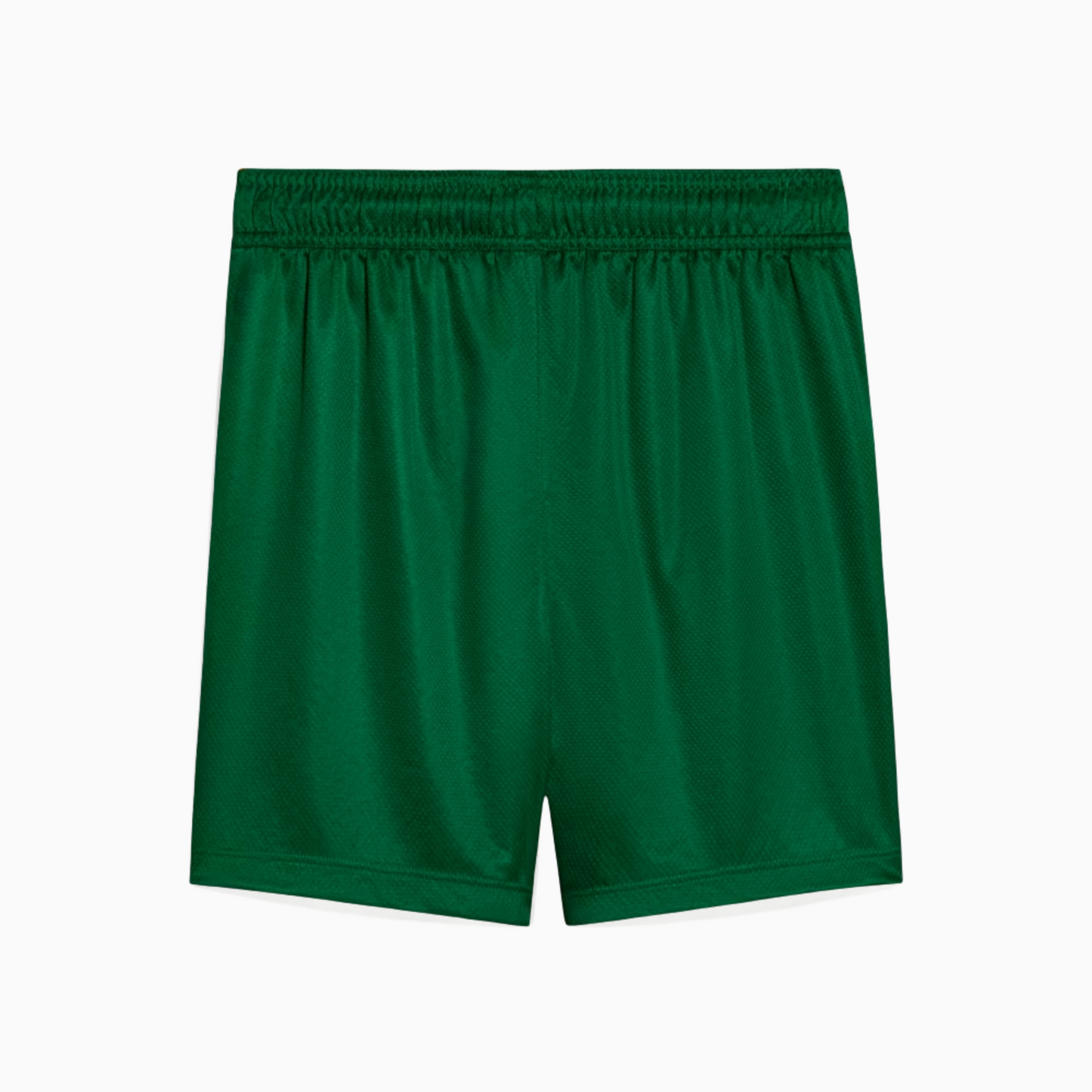 Shorts Masculino Palmeiras II 2025/2026