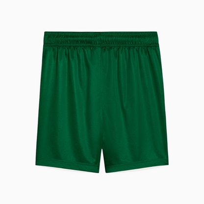 Shorts Masculino Palmeiras II 2025/2026