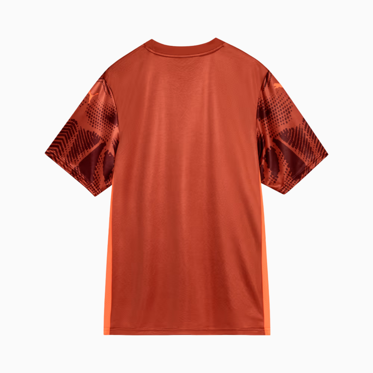 Camisa Goleiro Masculina Palmeiras II 2025/2026