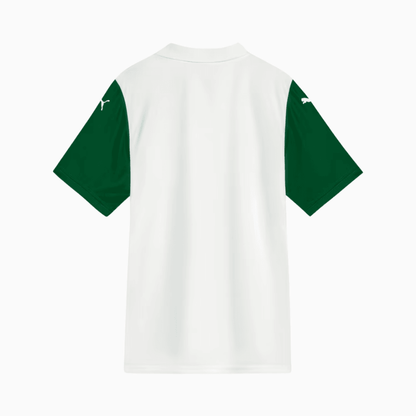 Camisa Torcedor Masculina Palmeiras II 2025/2026