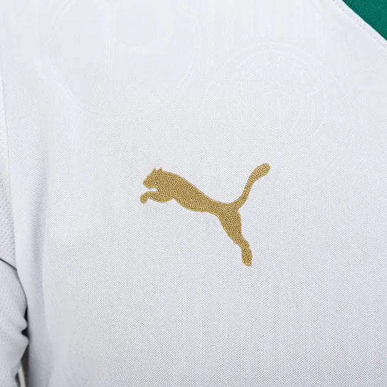 Camisa Palmeiras Reserva 24/25 - Torcedor Masculina Lançamento