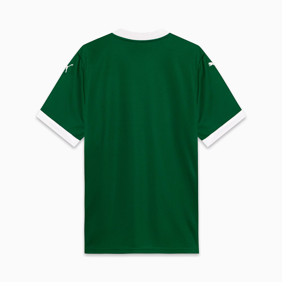 Camisa Palmeiras Home 25/26 - Torcedor Masculina