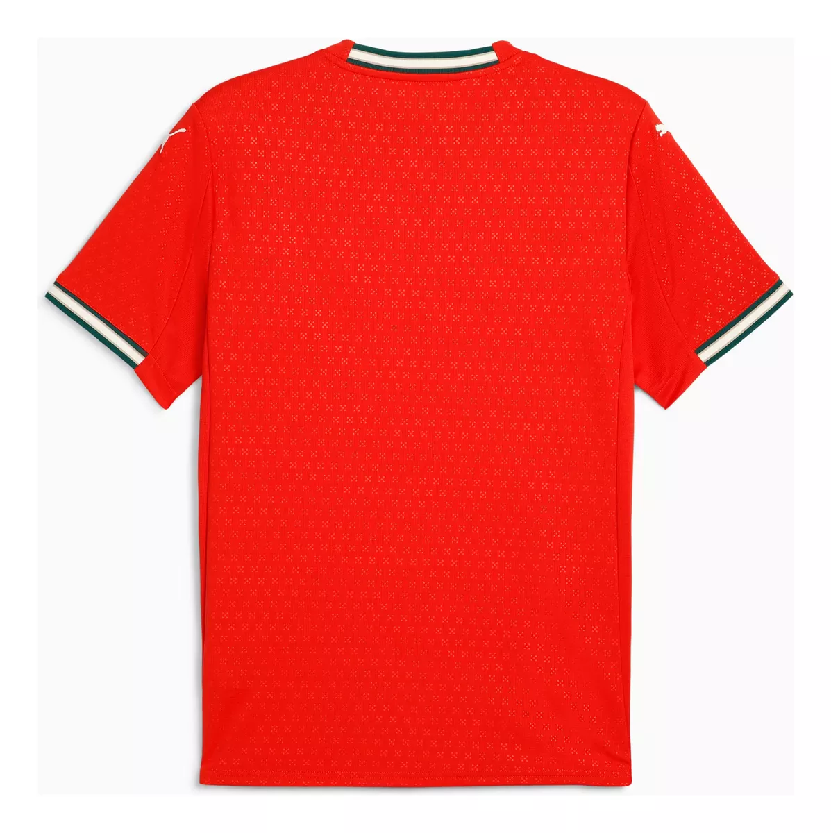 Camisa Torcedor Masculina Portugal 2025