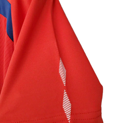 Camisa Retrô Torcedor Masculina Inglaterra 2008