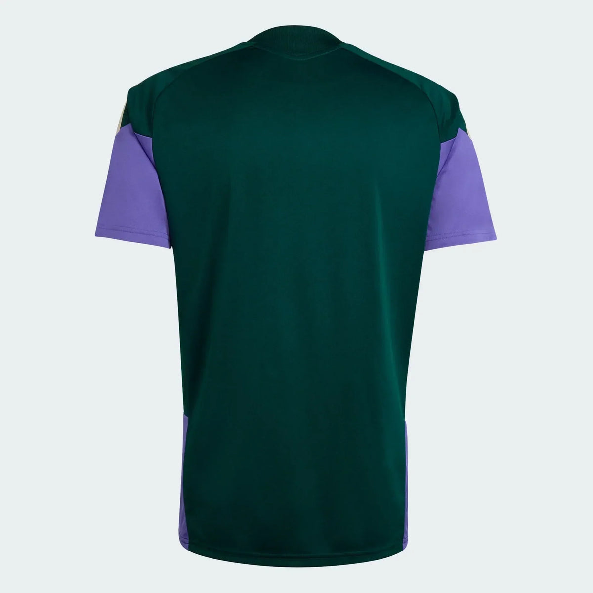 Camisa Treino Masculina Arábia Saudita 2026